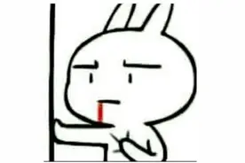 女子报团澳洲游，却被安排与两男士“拼房”！拒绝后还被举报偷渡？真相是……图片