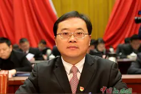 武宁发展如何突破？县委书记杜少华要这样发力……图片