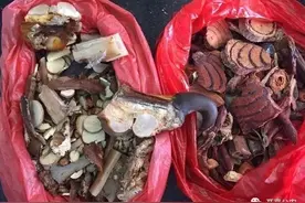 开平竟有人在街边摆摊卖“虎爪”，结果……图片