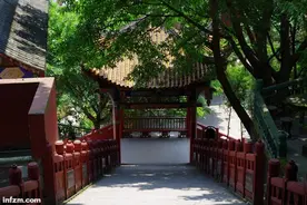 把栏杆拍遍图片