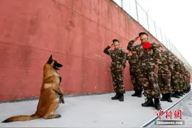 国防部：铁打的营盘不会忘记流水的兵图片