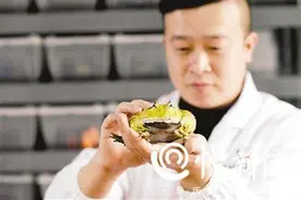 重庆现实版蛙爸 带着“蛙儿子们”一起出去浪图片