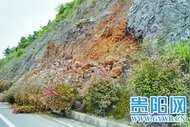 蓉遵高速遵义至赤水段：山体滑坡道路半幅通行图片