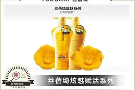 闪耀10年的魅力秀发呵护 丝蓓绮从未停歇图片