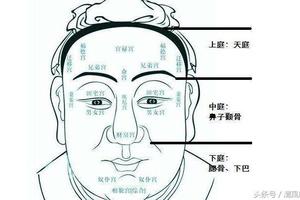 面相解读!你的“天庭”饱满吗?图
