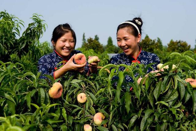 什么是股金（面临哪五大难题）