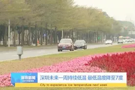 深圳未来一周持续低温 最低温度降至7度视频封面