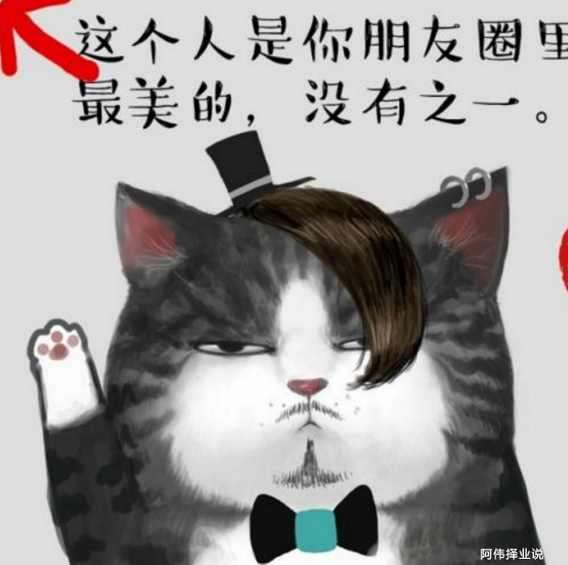 总结:如何打造高质量朋友圈的技巧