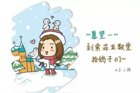 到哈尔滨要做的最浪漫7件事！每个都是少女的心愿~图片