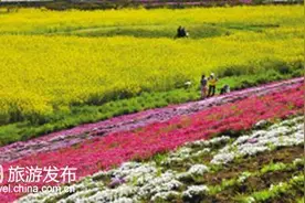徐州第十一届圣人窝樱桃节:浪漫幸福季 五一开幕图片