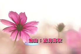 王爱华一首《宝贝不要哭泣》牵手幸福不离不弃，醉了视频封面