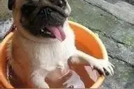 CNN报道了一名杭州警察，老外们都惊呆了！各国网友都叫他英雄！图片