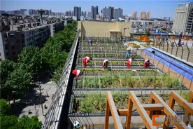 郑州103中楼顶阳光农场开园半年后啥样？图片