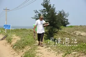 海滩捡到大宝贝图片