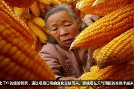 农村五句气象谚语，老农民说比天气预报还准！视频封面
