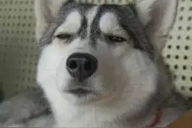 好啊，好吧，好！到底什么意思？图片