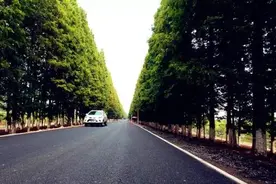史上最美马拉松赛道落户合肥，国家级半马本月15日举行！ 好想去试跑！图片