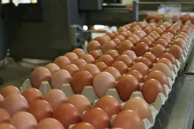 美媒关注中国鸡蛋期货价格飙涨：信贷扩张催生泡沫图片