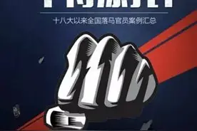 干得漂亮！岳阳抓了28名官员！看看有没有你认识的？图片