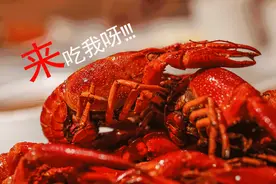征集重金悬赏！湖州首届手剥龙虾大赛开始报名！图片