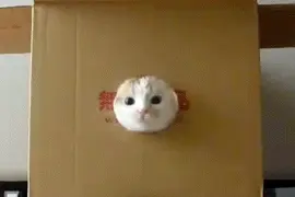 #中奖秀# 甜蜜的方脑壳，另类袖珍音箱：Sugr Cube 方糖蓝牙音箱开箱体验图片