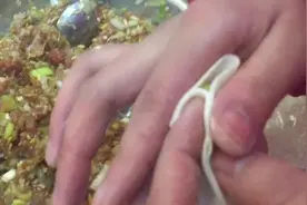 饺子最简单的包法，一步到位，全程慢动作，绝对0失败！视频封面