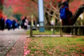 找的就是你！海峡卫视”青春合伙人“现场招募第一站福建农林大学明日启动图片