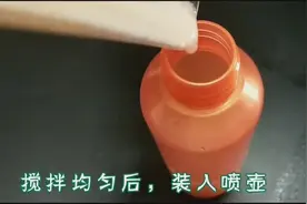玻璃脏了别用报纸擦 教你一招 擦都不用擦就干净了视频封面