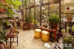 看完再也不想去咖啡馆！全苏州最美的六家阳光房，就想在里面待一整个春天图片