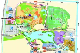 迪士尼"轧闹猛"攻略:地铁换乘可迂回 三入口迎自驾图片