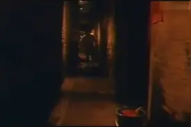 郑则仕老实善良，吕良伟油头滑面，两兄弟长大了差异还真大视频封面