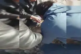 臭河沟竟然捡到宝贝，一块石头改变命运视频封面