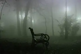 诡异!墓地旁公园内的健身器材竟然自己在动...