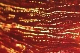 瘿子瘤  金星  鱼鳞纹等  小叶紫檀各种纹理浅析鉴赏图片