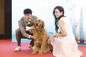 男友与狗该如何选择图片