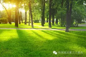 中国VS爱尔兰 | 爱尔兰护照不仅免签172国，还享全欧洲福图片