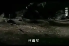《怪兽档案纪实》摄像机捕捉巨型雷鸟现身！图片