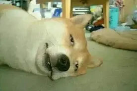 我和马云的平均资产有七百五十多亿......图片