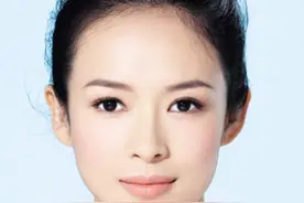 章子怡的那些美丽替身图片