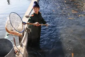 新鱼入缸需要做哪些处理?图片