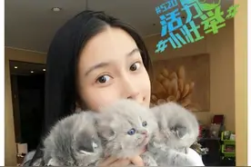 baby素颜怀抱三只小猫 网友：美是美就是眉毛被P飞了图片