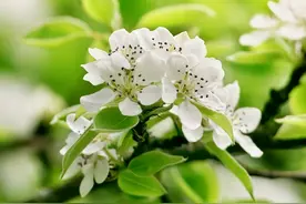 科普：稳定和谐与成长变革孰重孰轻---家庭系统中的控制论图片