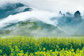 案例分享：美丽乡村建设该如何实施？图片