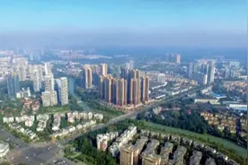 “衰老”的双楠图片