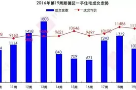 五月顺德周成交保持千套以上 碧桂园印象花城蝉联销冠图片
