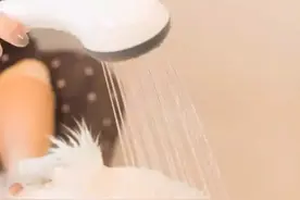 什么萨摩裸浴了？赶紧围观去。图片