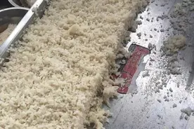 发霉的食物为什么不能吃？图片