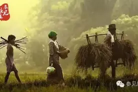 乡村虽好，为何城里人不敢回归？图片