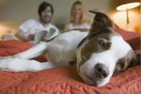 基层公务员当面临哪四大困惑？图片