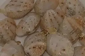 挑选花甲学问大 三招选鲜活肥美无沙花甲视频封面